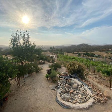 Chalet Nativo - Fabulous Terrace & Vineyard Apartment Valle de Guadalupe Luaran gambar