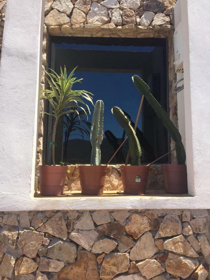 Chalet Nativo - Fabulous Terrace & Vineyard Apartment Valle de Guadalupe Luaran gambar